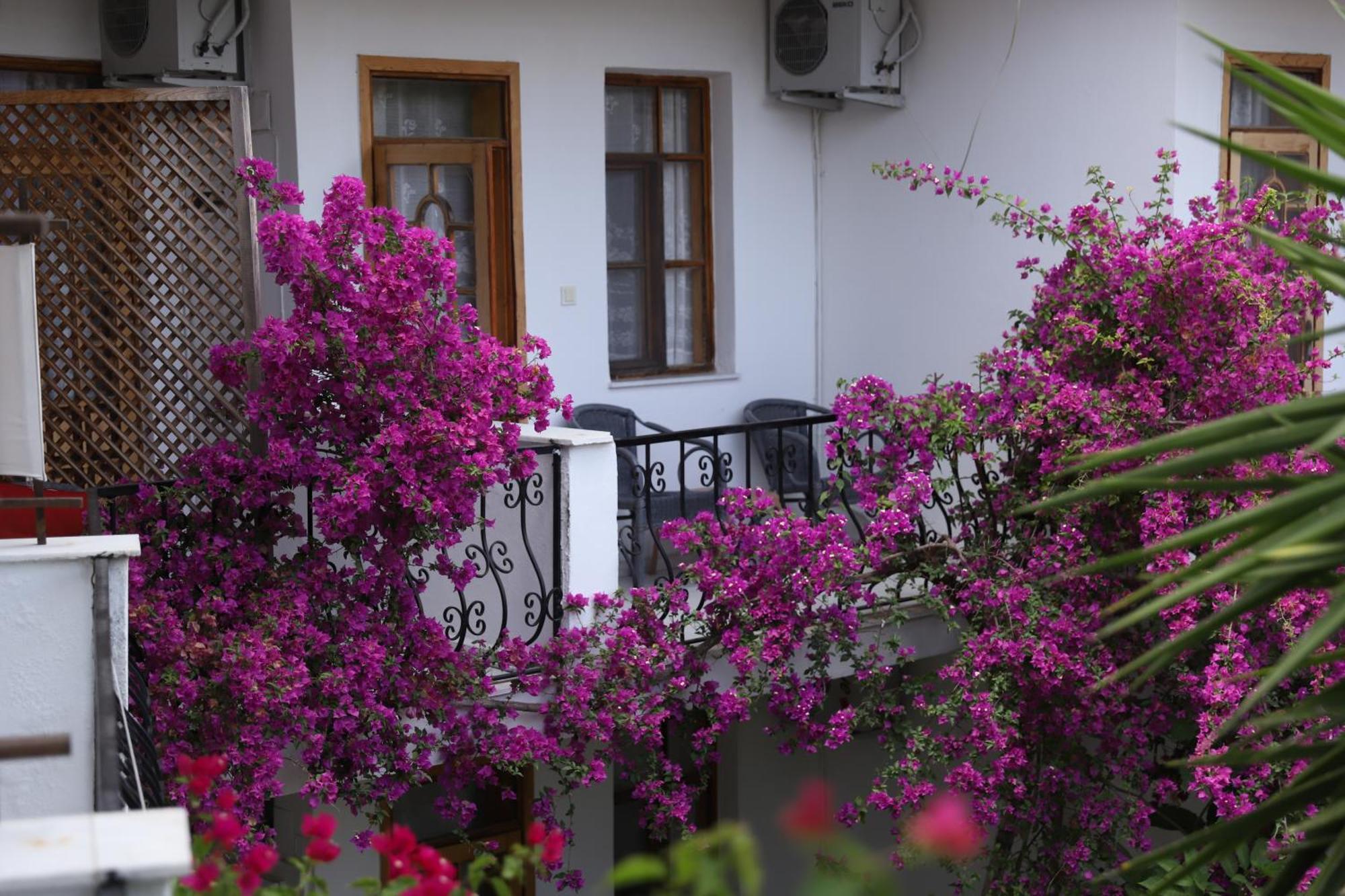 Garden Bloom Hotel Dalyan Exterior photo